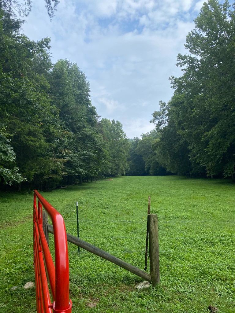 A green pasture stretching toward a treeline, with a red gate and fence posts in the foreground.